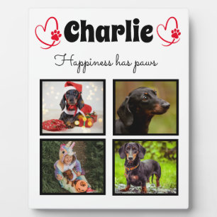 Maßgeschneiderte 4-Foto-Hundedecke Fotoplatte