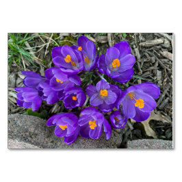 Maßgeschneiderte Blume mit Crocus floral Tischnummer