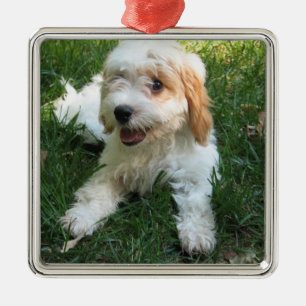 Maßgeschneiderte Cavachon Foto Ornament, Hund Ornament Aus Metall