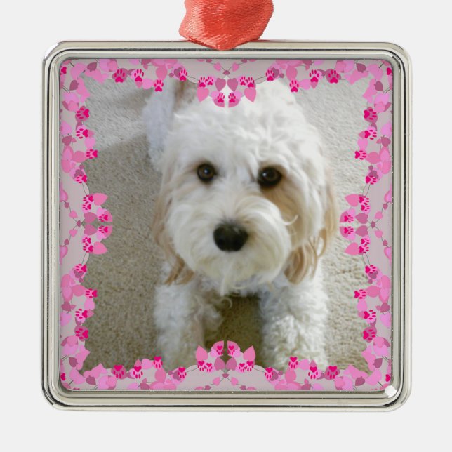 Maßgeschneiderte Cavachon-Foto-Ornamente, Maßgesch Ornament Aus Metall (Vorne)