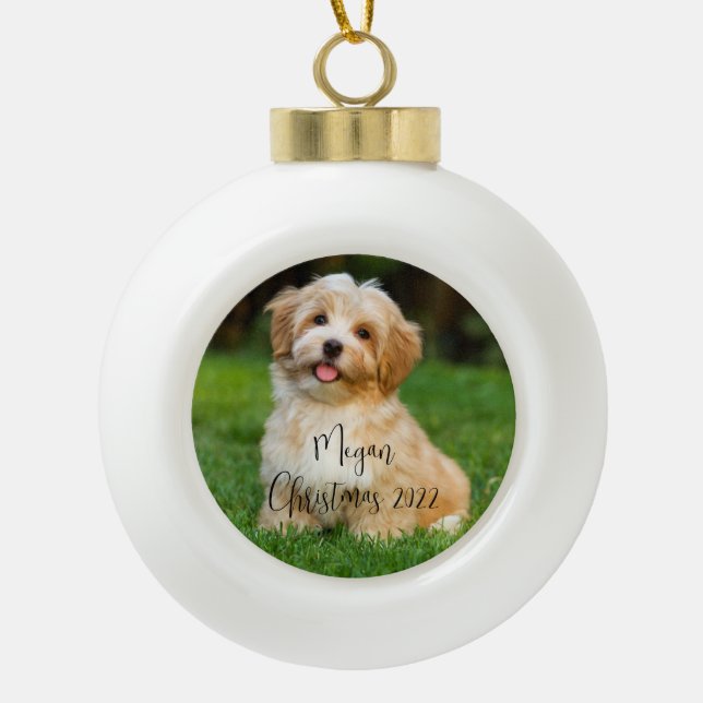 Maßgeschneiderte Foto Hunde Keramik Ornament (Vorderseite)