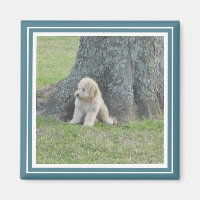 Maßgeschneiderte Fotoplatte Modernes Türkis & Weiß