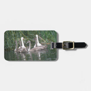 Maßgeschneiderte Gepäckmarke für Swans und Cygnets Gepäckanhänger