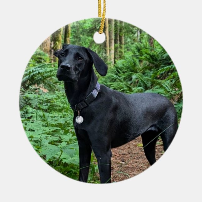 Maßgeschneiderte Keramik Ornament (Vorne)