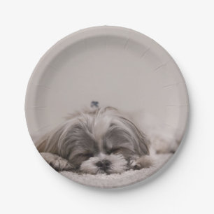 Maßgeschneiderte Shih-Tzu-Platte, Schlafhund Pappteller