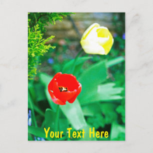 Maßgeschneiderte Tulips Postkarte