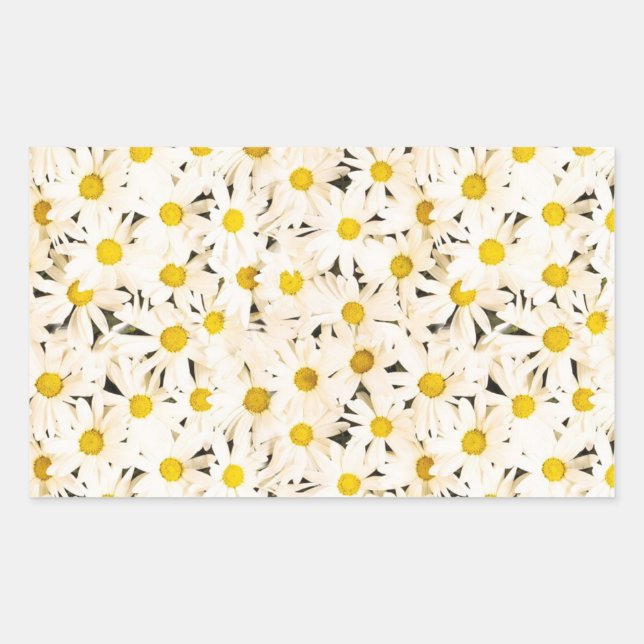 Maßgeschneiderte White Daisies Blank Elegant Templ Rechteckiger Aufkleber (Vorderseite)