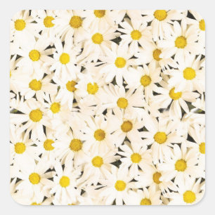 Maßgeschneiderte White Daisies Blank Trendy Elega Quadratischer Aufkleber