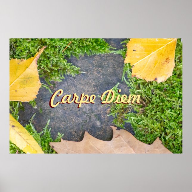 Maßgeschneiderter Carpe Diem mit bunten Blätter Poster (Vorne)