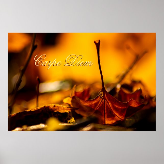 Maßgeschneiderter Carpe Diem mit farbigen Blättern Poster (Vorne)