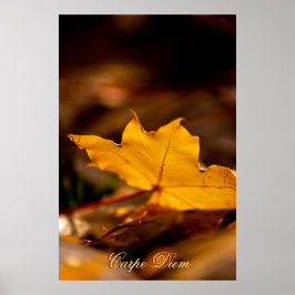 Maßgeschneiderter Carpe Diem mit farbigen Blättern Poster