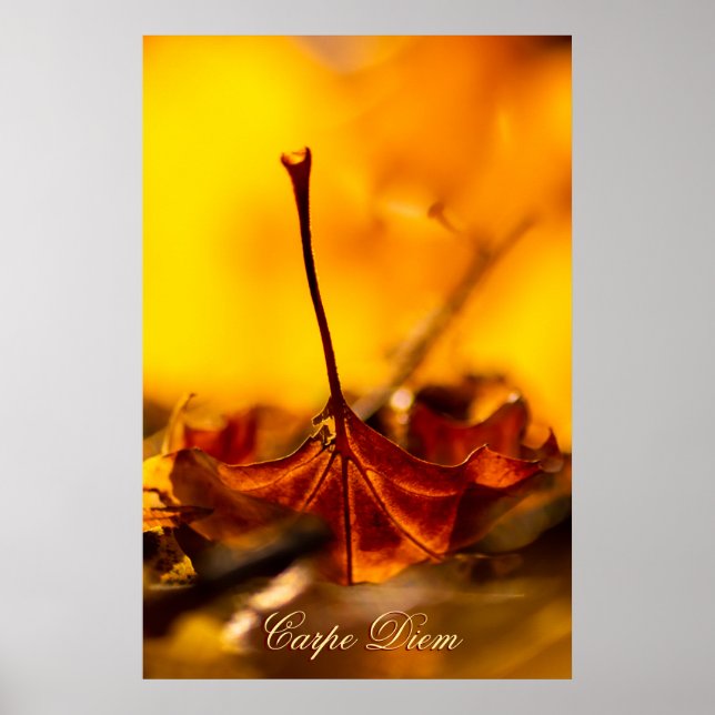 Maßgeschneiderter Carpe Diem mit farbigen Blättern Poster (Vorne)