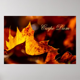 Maßgeschneiderter Carpe Diem mit farbigen Blättern Poster