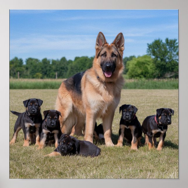 Maßgeschneiderter Deutscher Hirte mit Adorable Wel Poster (Vorne)
