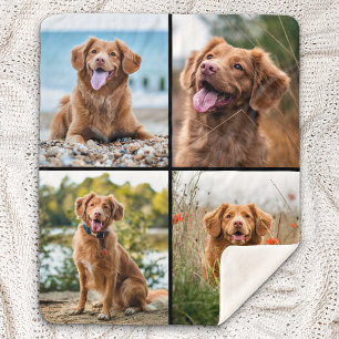 Maßgeschneiderter moderner 4-Fotolack-Hund Sherpadecke