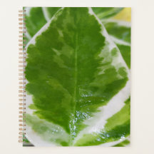 Maßgeschneiderter Standard (8,5" x 11")-Festplatte