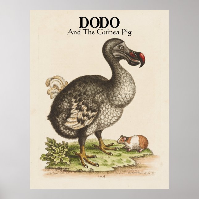 Maßgeschneiderter Titel und Untertitel Dodo und Gu Poster (Vorne)