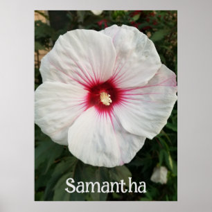 Maßgeschneiderter Weißer Hibiskus mit Hot Pink Cen Poster