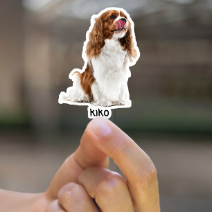 Maßgeschneidertes Foto Wasserfeste Vinyl Stickers Aufkleber