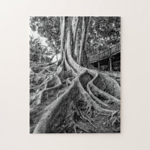 Massive Gummibaumwurzeln Puzzle