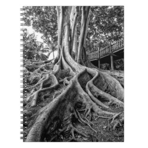 Massive Gummiwurzeln Notizblock