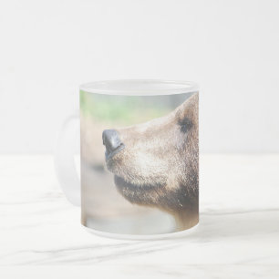 Master Bruce Tasse