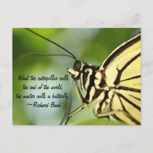 Master-Butterfly-Foto und Zitat Postkarte