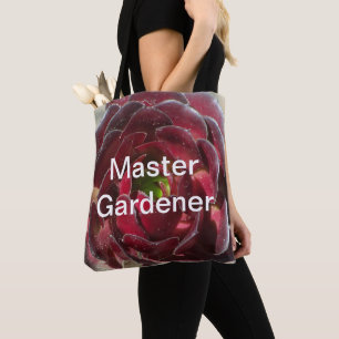Master Gardener Coastal Pflanze Foto Red Succulent