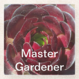 Master Gardener Coastal Pflanze Foto Red Succulent Glasuntersetzer