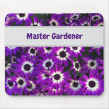 Master Gardener Lila Floral Foto Blume
