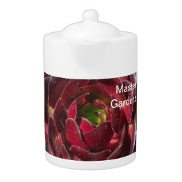 Master Gardener Red Succulent Foto Landscaper