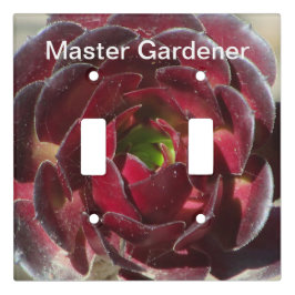 Master Gardener Sukkulentes Foto Wüstengarten