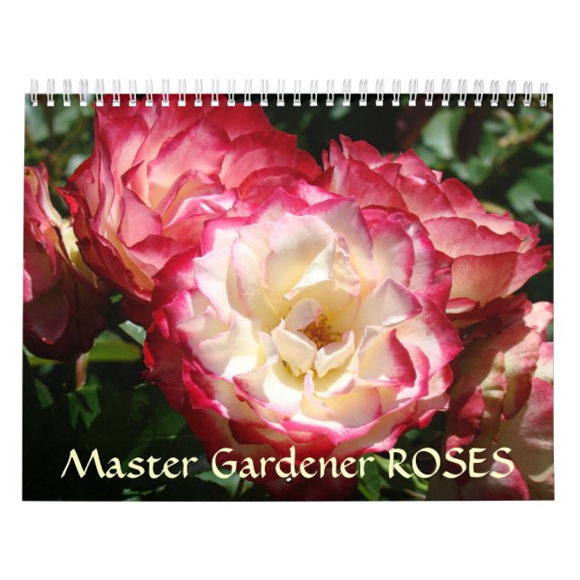 MASTER GARDENERS ROSE Kalender Rose Blume (Titelbild)