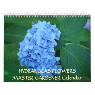 MASTER GARTNER Kalender Hortensien Blumen