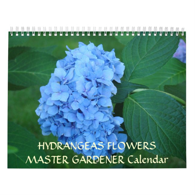MASTER GARTNER Kalender Hortensien Blumen (Titelbild)