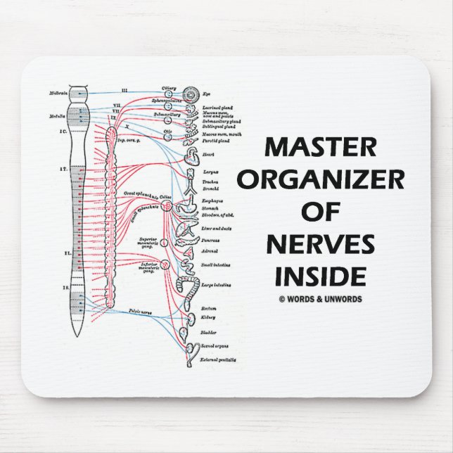 Master-Organisator der Nerven innerhalb (autonom) Mousepad (Vorne)