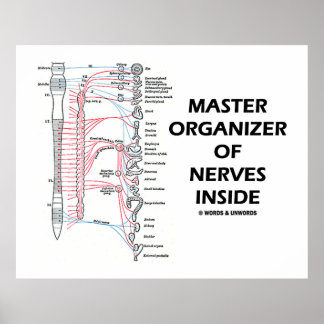 Master Organizer der Nerven im Inneren (Nervensyst Poster
