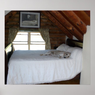 Master-Schlafzimmer Poster