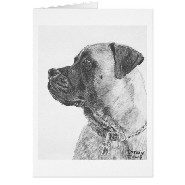 Mastiff (Vorne)