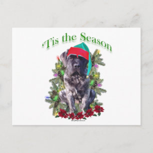 Mastiff 3 "Tis Postkarte