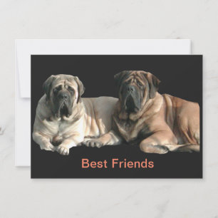 Mastiff Best Friends  Einladung