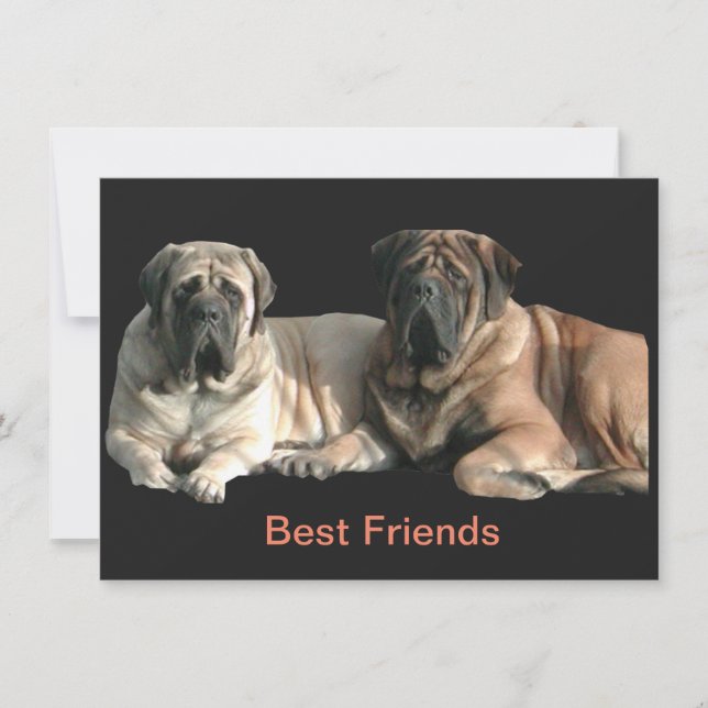 Mastiff Best Friends  Einladung (Vorderseite)