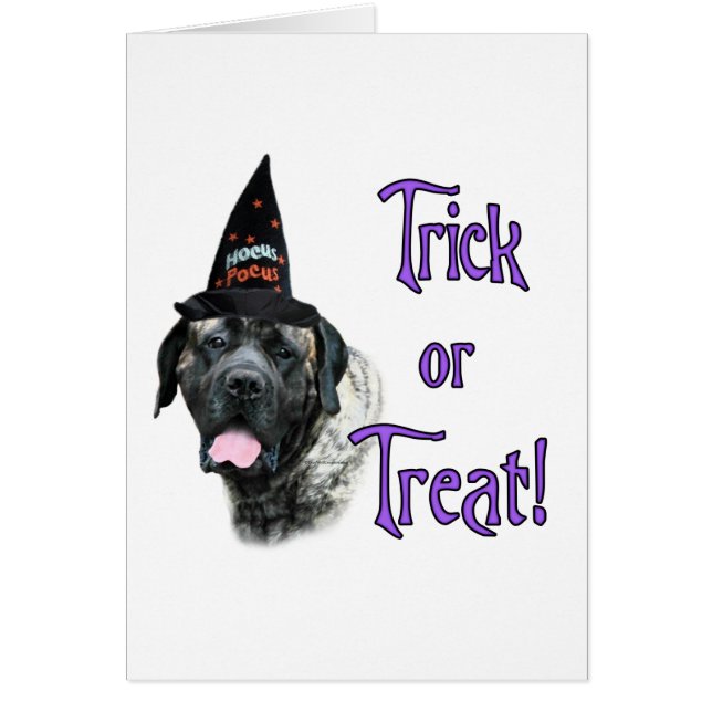 Mastiff (Bindle) Trick (Vorne)