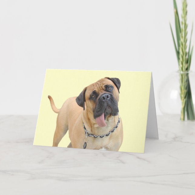 Mastiff Birthday Card by Focus for a Karte (Vorderseite)