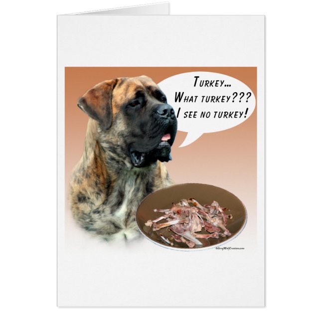 Mastiff (Blinde) Türkei (Vorne)