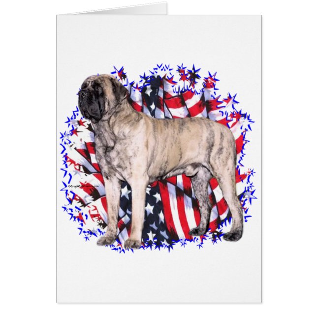 Mastiff (brindle) Patriot (Vorne)