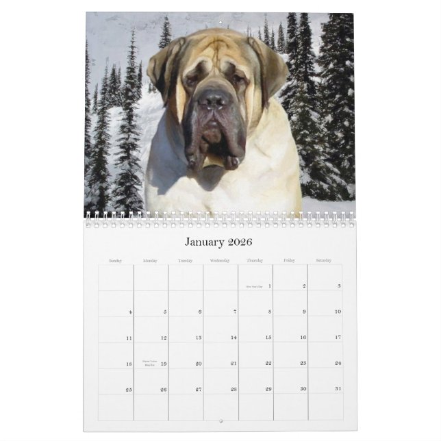 Mastiff Calendar Kalender (Jan 2026)