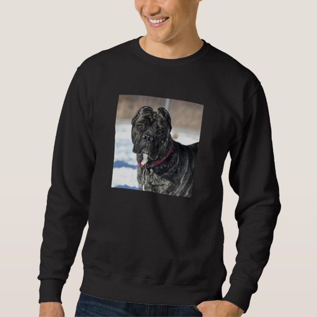 MASTIFF/CANE CORSO MEN'S SWEATSHIRT (Vorderseite)