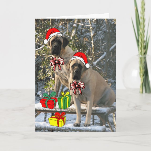 Mastiff Christmas Card Feiertagskarte (Vorderseite)