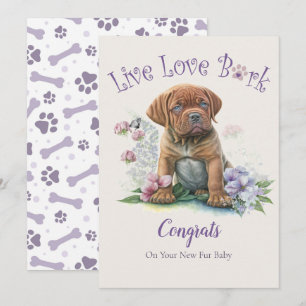Mastiff Dog Adoption, Gotcha Tag Karte